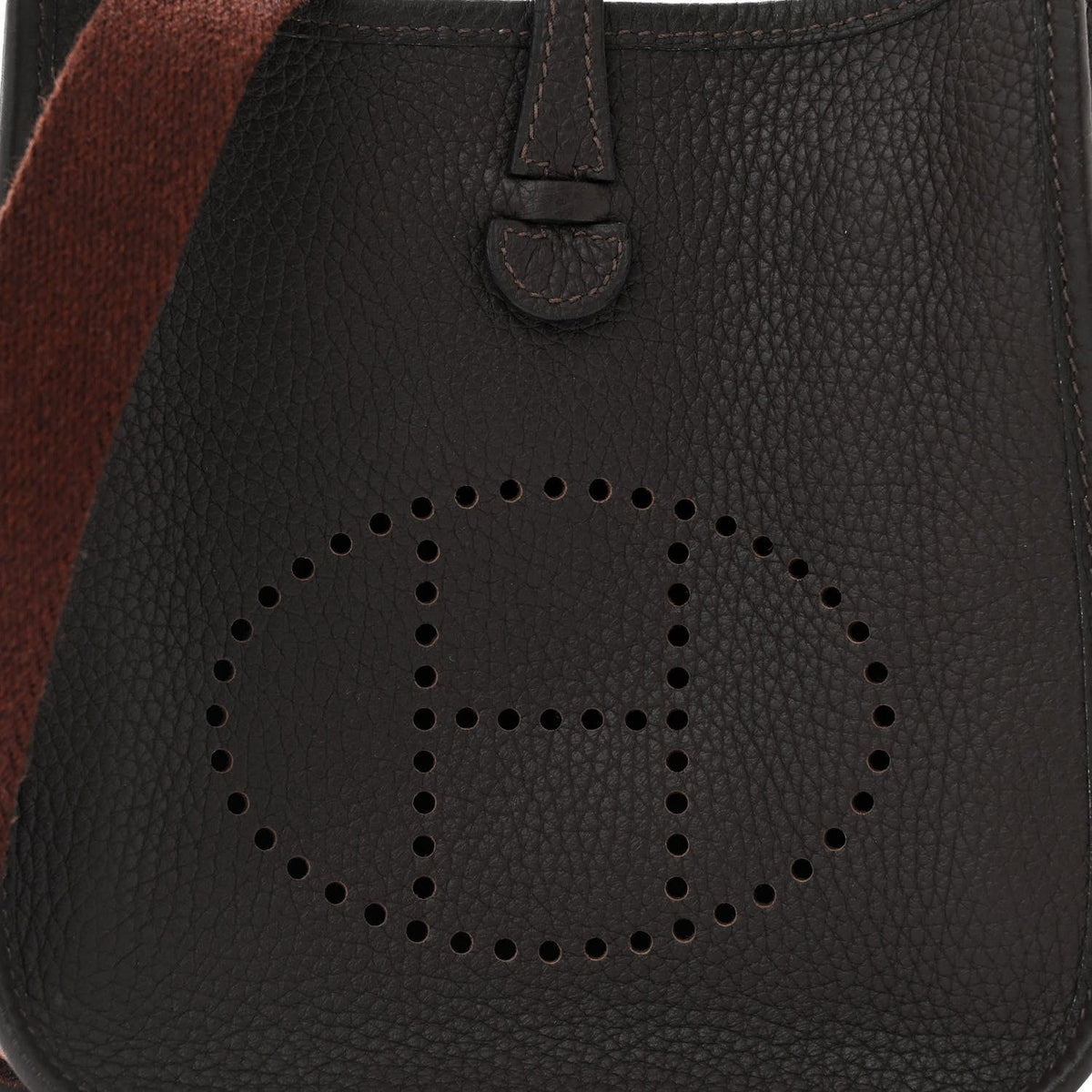 Taurillon Clemence Evelyne TPM Chocolate